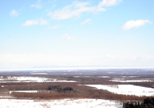 f0020302_1252866.jpg
