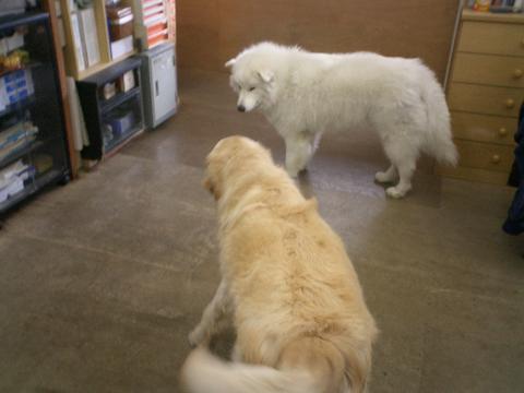 f0025103_161373.jpg