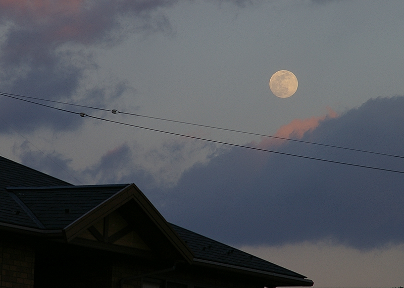 a0031804_5563054.jpg