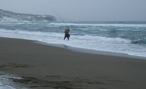 a0046210_19581671.jpg