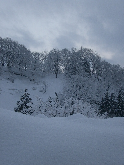 e0033114_17314681.jpg