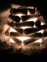 e0063317_1154031.jpg