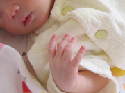 d0042618_0482082.jpg