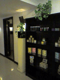 d0038319_1521321.gif
