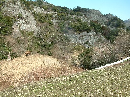 e0067523_721559.jpg