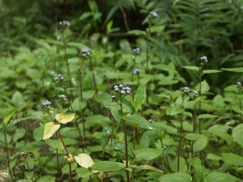 b0039226_2374373.jpg