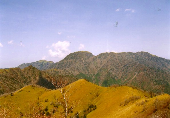 a0051128_1916475.jpg