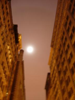 e0036628_1458366.jpg