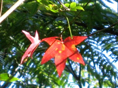 d0013150_2139279.jpg