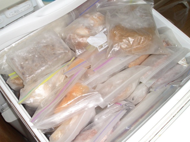 f0009451_21366.jpg