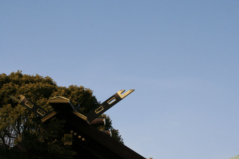 e0076761_015370.jpg