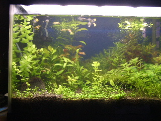 f0065167_21365622.jpg