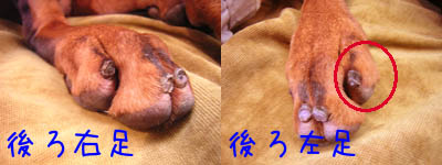 f0025769_18495438.jpg