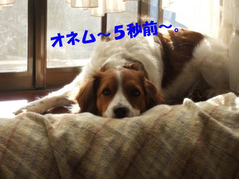 c0075585_23345934.jpg