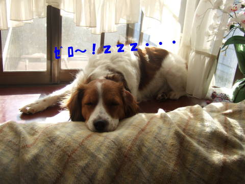 c0075585_23353316.jpg