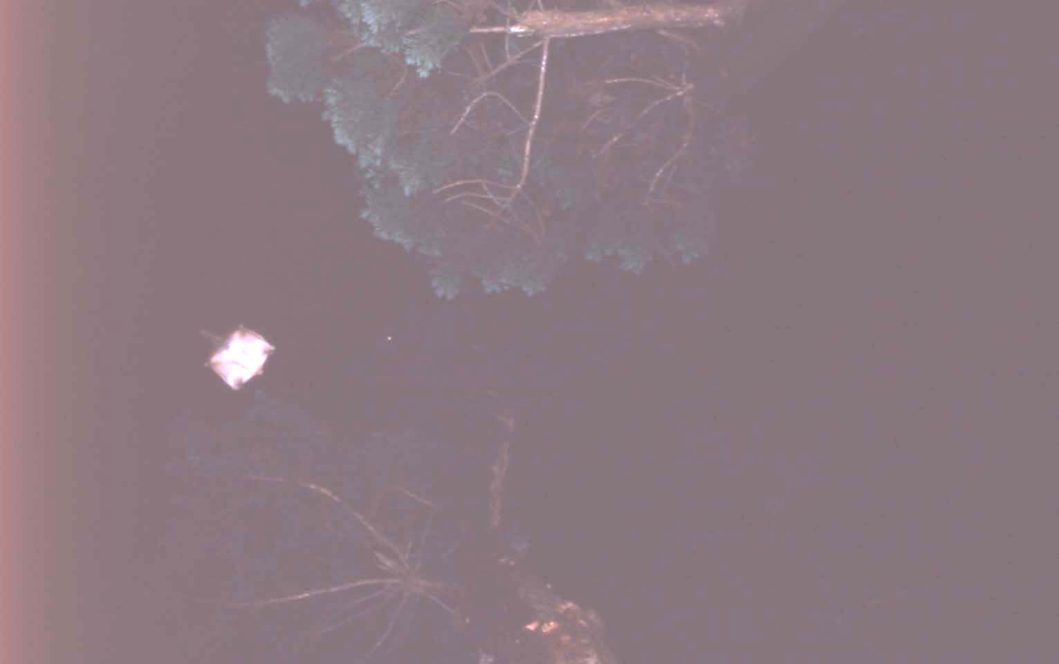 f0047593_1130565.jpg