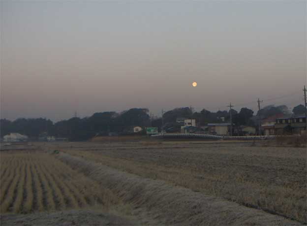 e0018604_1095179.jpg
