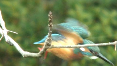 c0047906_20112758.jpg