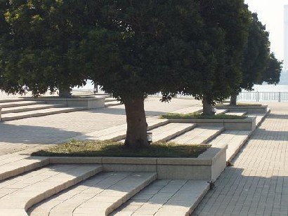 e0083212_1662567.jpg