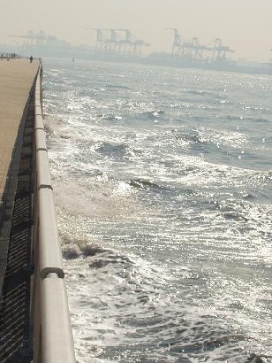 e0083212_1663813.jpg