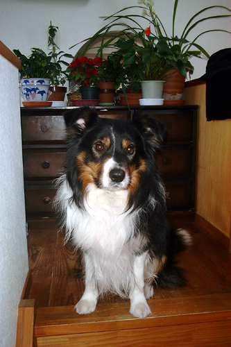 f0060424_1011729.jpg