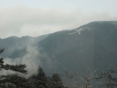 f0054025_1444583.jpg