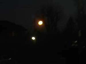 e0006428_3115755.jpg