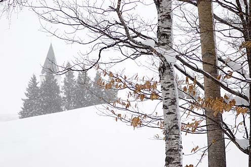e0025030_162589.jpg