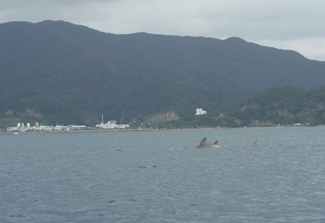 f0062839_2039313.jpg