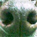 f0064449_6443726.jpg