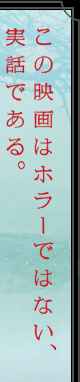 この映画はホラーではない、実話である。