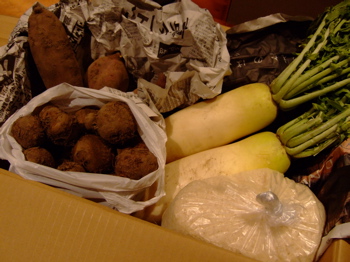 f0001698_2258346.jpg