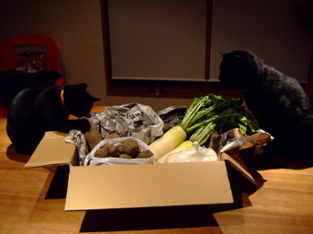 f0001698_2312538.jpg