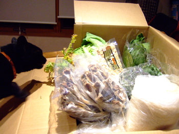 f0001698_23242212.jpg