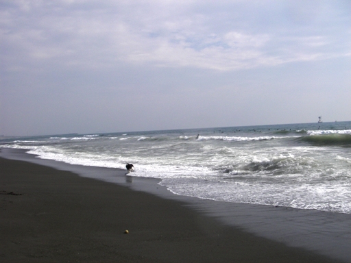 f0034602_204207.jpg