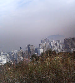 d0065116_17253511.jpg