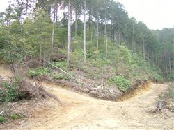 e0002820_2128393.jpg