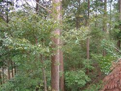 e0002820_2135234.jpg