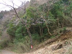 e0002820_2142182.jpg