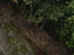 e0002820_21484747.jpg