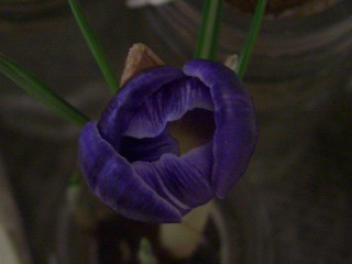 f0001543_22423938.jpg