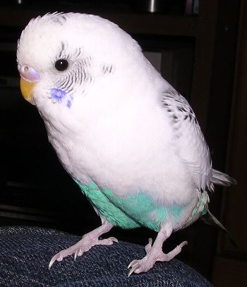 c0054148_14335389.jpg