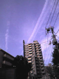 c0025852_8435672.jpg