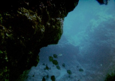 a0052156_040197.jpg