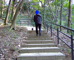 c0012571_1454433.gif