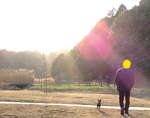 c0012571_14545833.gif