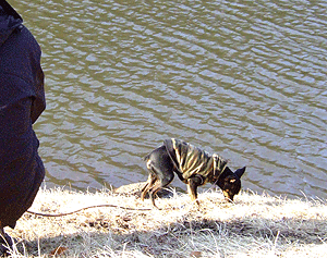 c0012571_14552465.gif