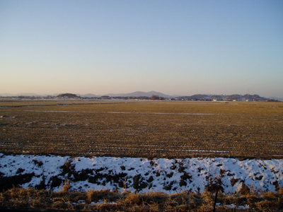 a0065787_14123760.jpg
