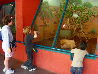 c0040990_1714254.jpg