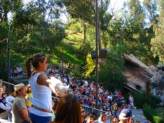 c0040990_17145343.jpg